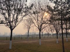 -汉长安城未央宫国家考古遗址公园