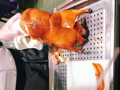 -紫光园(顺义店)