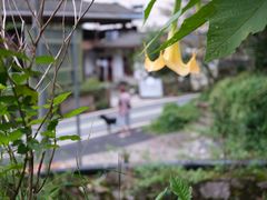-水磨古镇