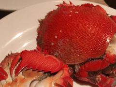 -星伦多 自助料理(圆融店)