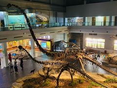 -自贡恐龙博物馆
