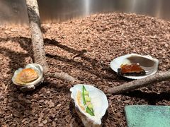 -曲廊院(东四十一条店)