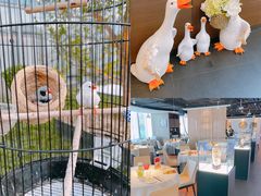 -悦融·京鲁菜·露台花园(安定门店)