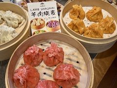 -百彦蒙古包·碳烤羊排·手抓羊肉(万江首店)