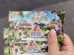 -灵玲国际马戏城