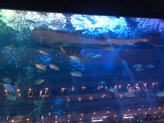 -成都浩海立方海洋公园