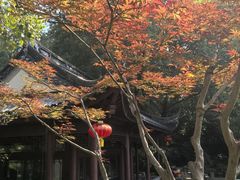 -南京东郊国宾馆
