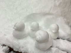 -广州热雪奇迹