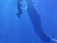 -多彩贵州城极地海洋世界