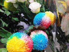 -双季花艺园艺市场(浦东店)