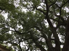 -普陀山风景名胜区-法雨禅寺