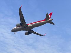 -空港花田景区