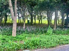 -七的湖·晚芳亭·阳澄湖农家菜·大闸蟹(莲花岛店)
