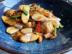 野芫荽炒牛肝菌-半山腰·云南菜(侨福芳草地店)