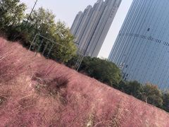 -艾溪湖湿地公园