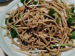 香椿苗拌豆腐丝-大海碗·京菜炸酱面(雍和宫店)