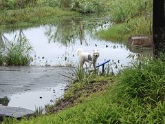 -长田漾湿地公园