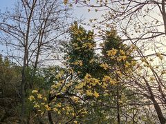 -杭州半山国家森林公园