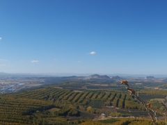 -帽儿山国家森林公园