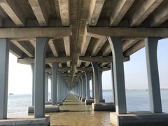 -宝安西湾红树林湿地公园