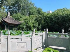 -莲湖公园
