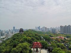 -黄鹤楼公园(黄鹤楼)