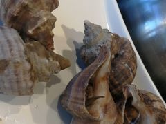海螺-海味当家·蒸锅海鲜(星海公园店)