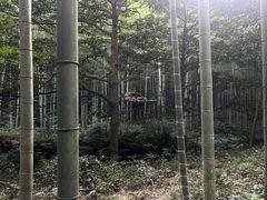 -黄公望隐居地