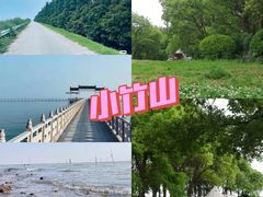 -贡湖湾湿地公园