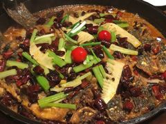 -老板恋上鱼(恒隆广场店)