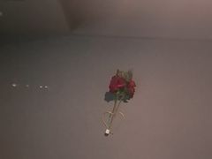 -陆琴脚艺·足浴·SPA(夫子庙店)
