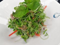 院子沙拉-SUSU·苏苏(四合院创始店)