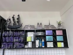 -CE·专业蛋白•羽毛接发·潮色烫染品牌店