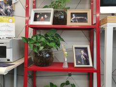 -猫头鹰照相馆(国贸店)