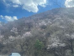 -妙峰山风景名胜区