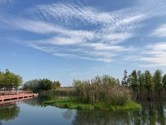 -贡湖湾湿地公园