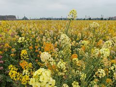 -中国天府农业博览园