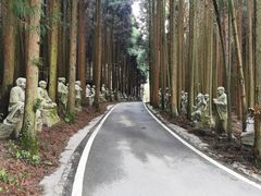 -武陵山森林公园