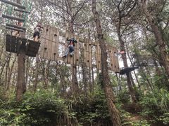 -芦仙山景区-飞越丛林探险乐园