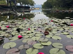 -西湖天地