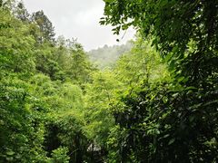-黔灵山公园
