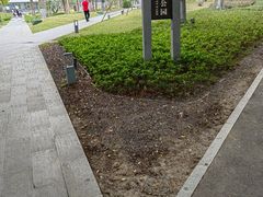 -深圳市人才园(深南大道店)