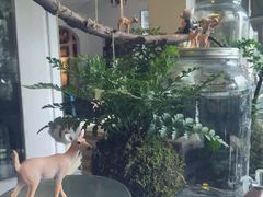 -懒鱼时光馆(沙坪坝店)
