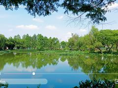 -金银湖国家城市湿地公园