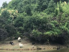 -艾溪湖湿地公园