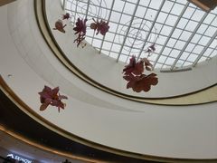 -厦门市图书馆(集美新城馆区)