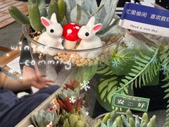 -万科美好广场