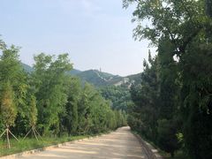 -龙口南山旅游景区