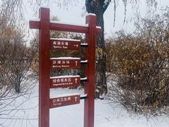 -长春市南湖公园