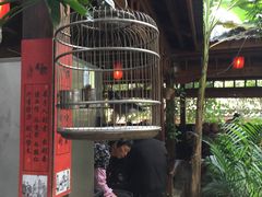 -农厨好味·温泉鹅·农家菜
